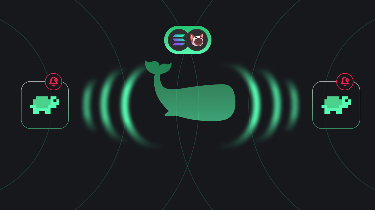 Whale alerts, copy the best traders